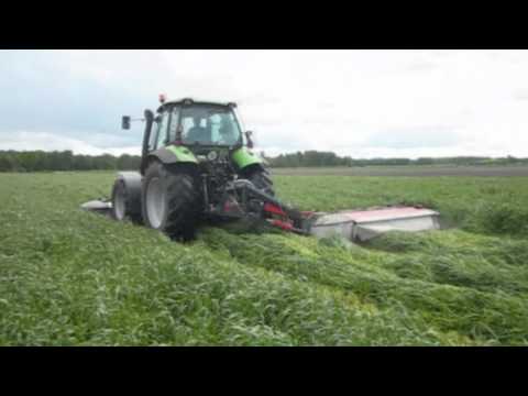 download lagu mp3 mp4 Italiaans Raaigras, download lagu Italiaans Raaigras gratis, unduh video klip Italiaans Raaigras