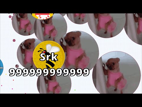 SOLO LEGEND🍿 (AGARIO MOBILE)