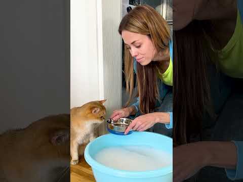 Watch My Cat Master the Art of Drinking! 😹