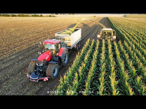 |Siláže 2025|ZS Bukovno|služba ZZN Pelhřimov a,s