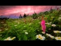 Patrick O'Hearn - Beyond this Moment