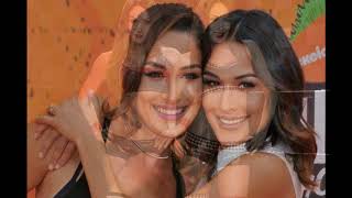 Bella Twins Theme  You Can Look (But You Can&#39;t Touch)