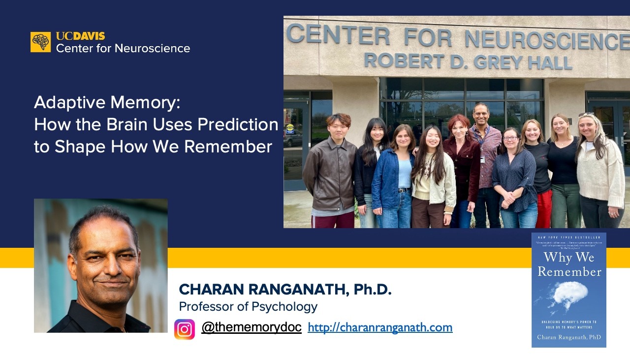 Adaptive Memory: How the Brain Uses Prediction to Shape How We Remember