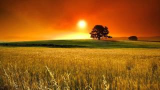 The Golden Day is Dying by Hem