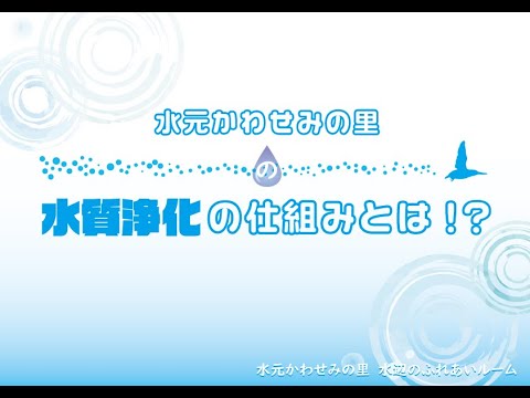 水の浄化 - 定義