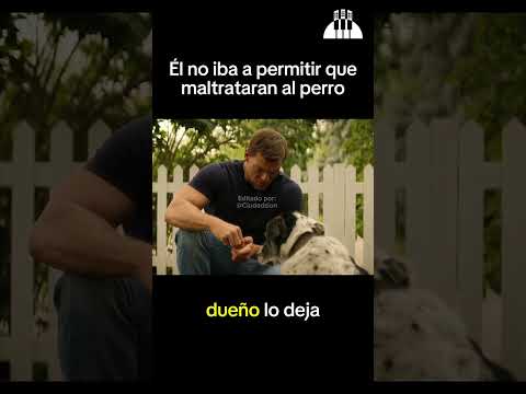 El respeto también es para los animales 🙏❤️ #ciudadsion