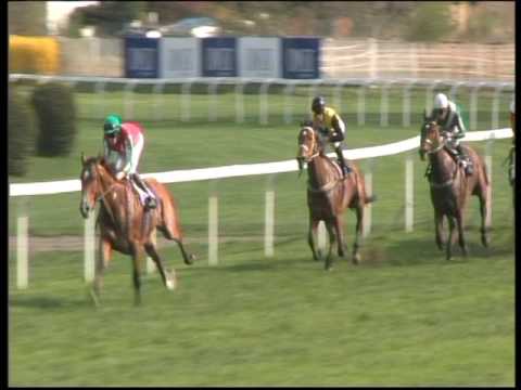 59. VELKÁ DUBNOVÁ CENA ERSTE FACTORING