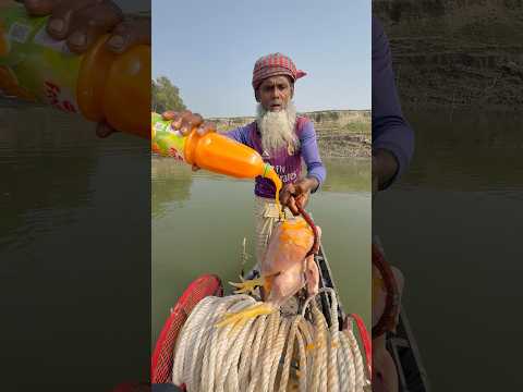 Unbelievable new fishing idea from river boat- 4 #fishinglife #fishing