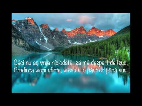 In tara eterna - Fratii Szabo Jr