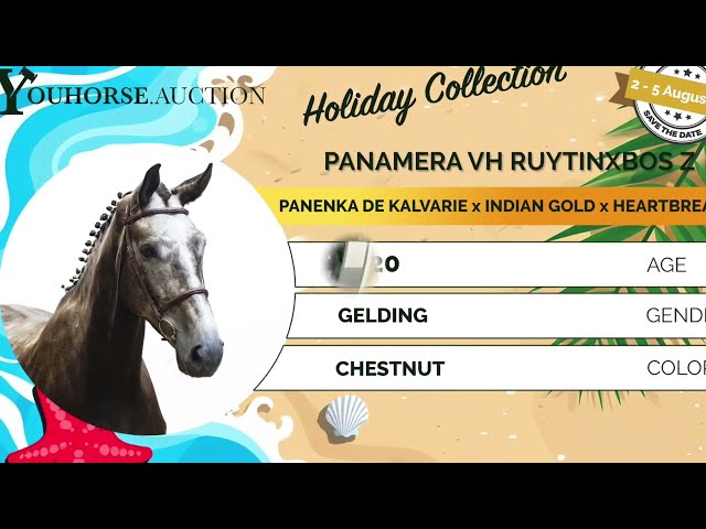 Panamera vh Ruytinxbos Z showvideo