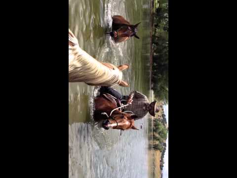 Buddy & Mr. T Cool Off in Water - Sacking Out to Mud - Rick Gore Horsemanship