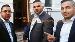 TRIO BAND UK-KECI PIJAV TRIO BAND UK-KECI PIJAV