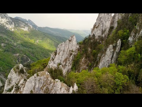 Pe traseu nemarcat în Cheile Întregalde