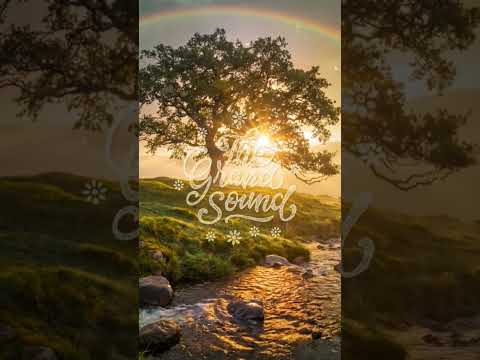 Furkan Senol - Alive #shorts