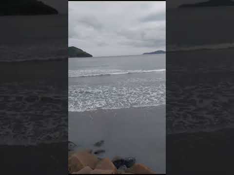 Veja que linda garça branca no mar em Guarujá São Paulo inscreva em nosso canal e deixe like e compa