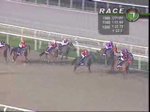 PROINN CONSTRUCT STAKES 04/12/09 - GOLDSCHATZ