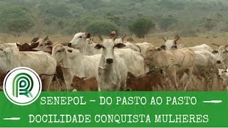 Miniatura do vídeo
