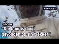 Gevaarlijke Aziatische hoornaar rukt op in Nederland | RTV Oost