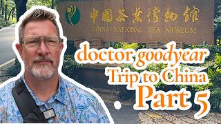 Can Green Tea Help Fight Cancer | A Doctor’s Journey Through China