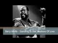 Barry White - Standing In The Shadows Of Love (HD)