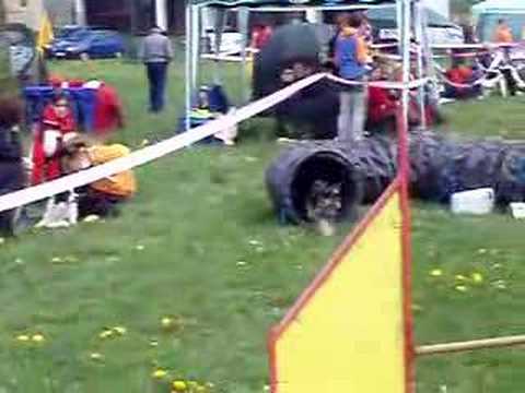 Jicin 26.4.2008 - Jumping - Jarmila/Fidorka