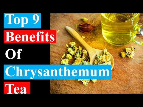 Top 9 benefits of chrysanthemum tea