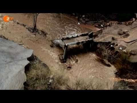 ZDF-History - Grenzfälle der Wissenschaft (2/3)