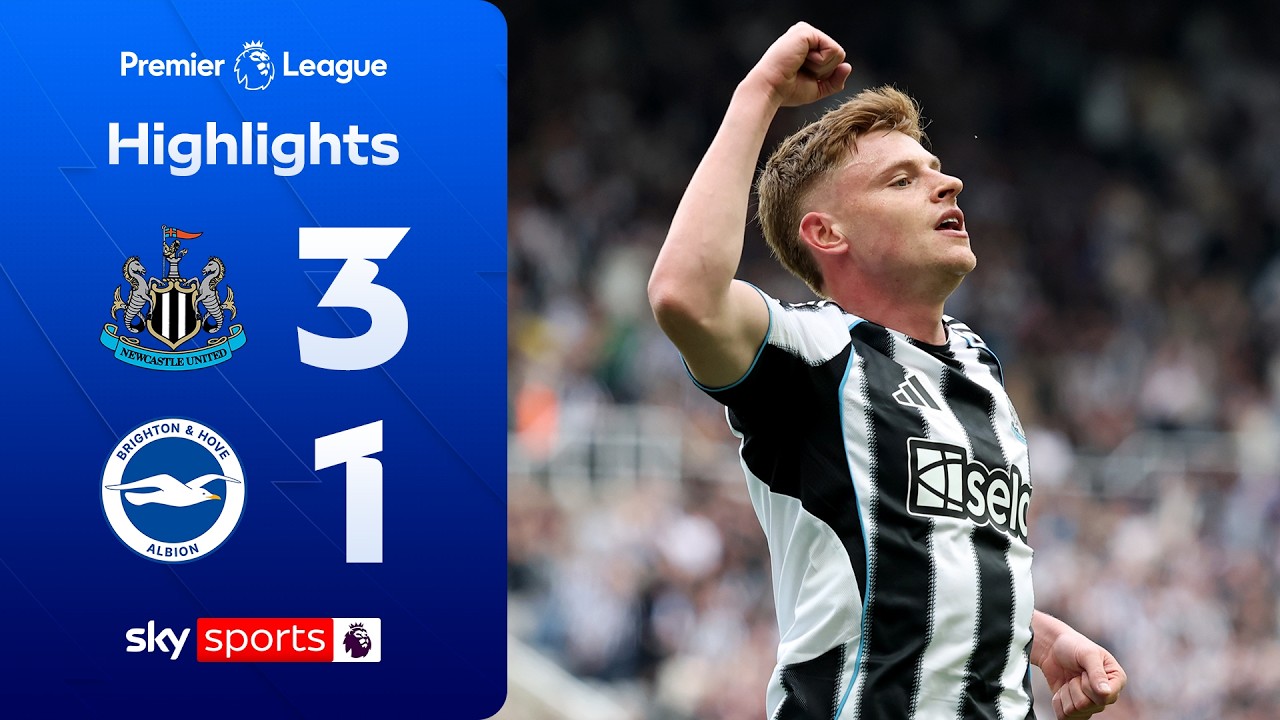 Newcastle end five-match losing run | Newcastle 3-1 Brighton | Premier League Highlights