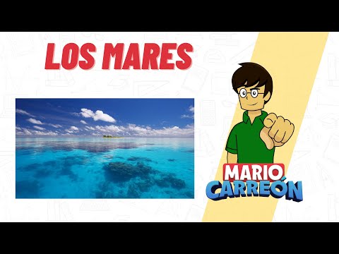 Los Mares 🌊