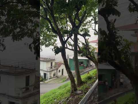 Una tarde con neblina en San Juan tepezontes￼ distrito ￼ la paz centro#elsalvador2025 🇸🇻