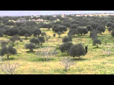 عودة عناصر لواء أحفاد الصحابة بعد تدمير دبابة في حاجز الأعلاف في سرمين في محافظة إدلب