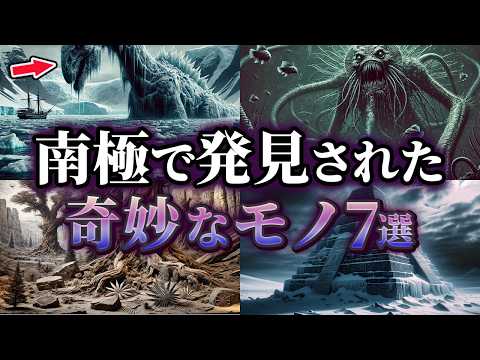 「刺激的で珍しい」、まったくの偶然で発見された特別な石