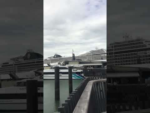 Thumbnail for MSC POESIA and SEABOURN ODYSSEY (Cruises Ship) in Auckland
