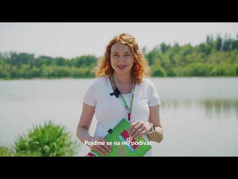 M BRÁTOVÁ MEZIMĚSTÍ SOC SÍTĚ 1