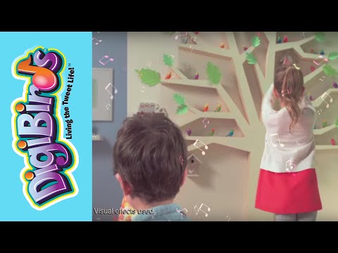 DIGIBIRDS™ (US & CANADA) Video
