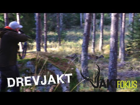 Drevjakt utanför Åtvidaberg