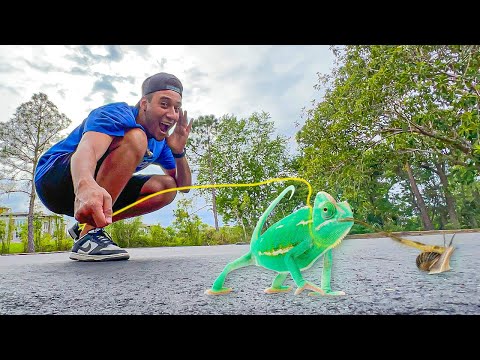 PRIMEIRA VEZ do CAMALEÃO PASSEANDO nas RUAS dos ESTADOS UNIDOS