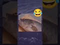 Memes From Kylian Mbappé P 40 Memes Shorts Kylianmbappe Realmadrid Funny Goofy