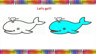 Download the video "Drawing vs Coloring  ( Vẽ và tô màu 2 )"