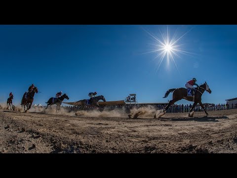 Betoota Races
