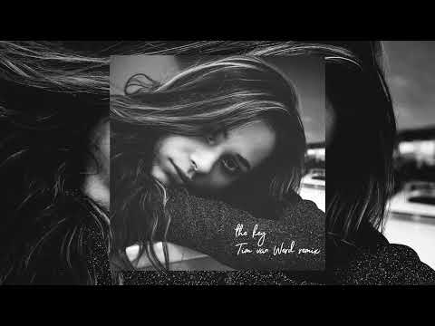 Lara Samira - the key [Tim van Werd remix]