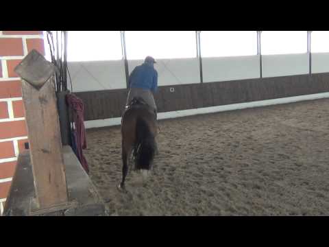 4 jäh. St. von Catoki