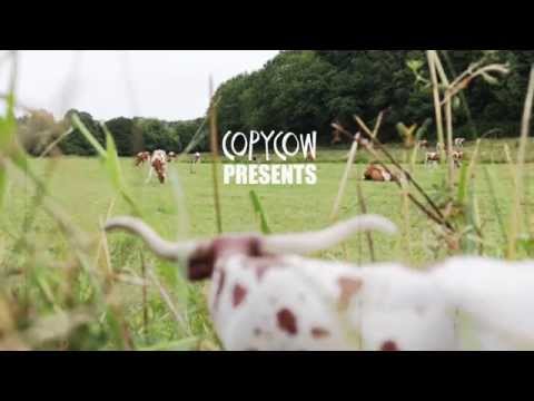 COPY004 - Falling Cows - Cowboarding (Video Cut)