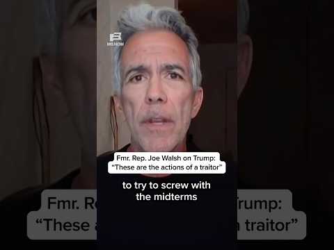Fmr. Rep. Joe Walsh on Trump: 