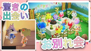 あつ森実況｜キャンプ場で感動の出会いとお別れ会｜あつまれどうぶつの森