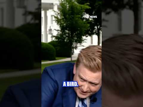 Where Is Peter Doocy This Week