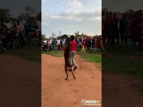 DAIMOND ANUNUA MBWA MILLION 10 KWA DOGO AYU NDIO BODGADI WAKE MPYA KWA SASA HOME