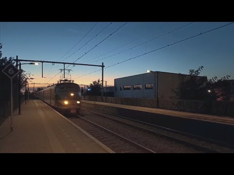 Hondekop 766 snelt door Bunnik, als Ledig Materieel! // Museum stock Mat'54 passing Bunnik, 9-10-22!