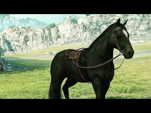 Tribute to Agro -Shadow of the Colossus - The Farthest Land