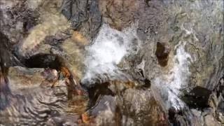 [ 睡眠・音楽療法] 自律神経の乱れを整える音楽 / 不安・恐怖・うつの改善 [α波+Θ波] Autonomic nervous improvement music